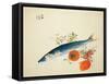 Autumn Fattens Fish and Ripens Wild Fruits, 1925-Takeuchi Seiho-Framed Stretched Canvas