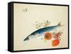 Autumn Fattens Fish and Ripens Wild Fruits, 1925-Takeuchi Seiho-Framed Stretched Canvas