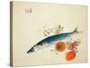 Autumn Fattens Fish and Ripens Wild Fruits, 1925-Takeuchi Seiho-Stretched Canvas