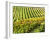 Autumn fields leading to the city of Montepulciano-Terry Eggers-Framed Photographic Print