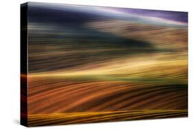 Autumn Fields-Piotr Krol-Stretched Canvas