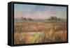 Autumn Fields-Danhui Nai-Framed Stretched Canvas