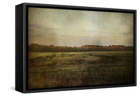 Autumn Flame-Jai Johnson-Framed Stretched Canvas