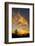 Autumn Flare - Fall Color and Tree Over Berkeley-Vincent James-Framed Photographic Print