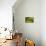 Autumn, Flat Garden, Portland, Oregon, Usa-Michel Hersen-Photographic Print displayed on a wall