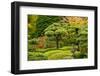 Autumn, Flat Garden, Portland, Oregon, Usa-Michel Hersen-Framed Photographic Print