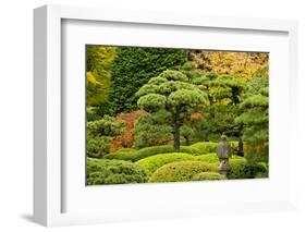 Autumn, Flat Garden, Portland, Oregon, Usa-Michel Hersen-Framed Photographic Print