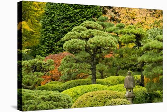 Autumn, Flat Garden, Portland, Oregon, Usa-Michel Hersen-Stretched Canvas