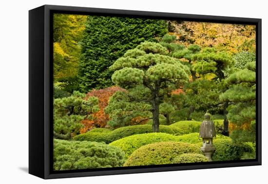 Autumn, Flat Garden, Portland, Oregon, Usa-Michel Hersen-Framed Stretched Canvas