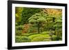 Autumn, Flat Garden, Portland, Oregon, Usa-Michel Hersen-Framed Photographic Print