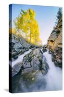 Autumn Flow at Bishop Canyon Creek, Eastern Sierras California-Vincent James-Stretched Canvas