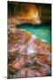 Autumn Flow - The Subway - Zion National Park, Utah-Vincent James-Mounted Photographic Print