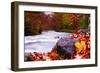 Autumn Flow-Dan Ballard-Framed Premium Photographic Print