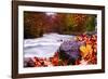 Autumn Flow-Dan Ballard-Framed Photographic Print