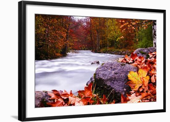 Autumn Flow-Dan Ballard-Framed Photographic Print