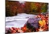 Autumn Flow-Dan Ballard-Mounted Photographic Print