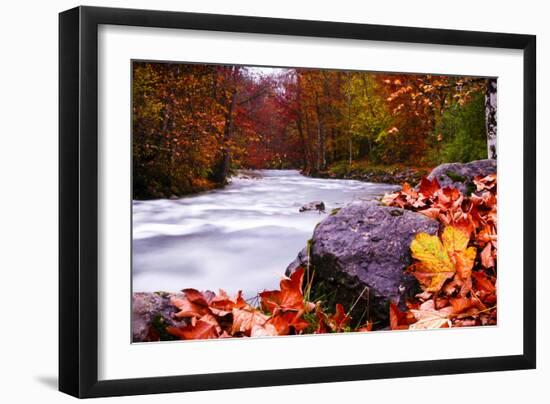 Autumn Flow-Dan Ballard-Framed Photographic Print