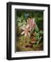 Autumn Flower with Blackberries-Josef Lauer-Framed Giclee Print