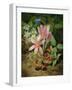 Autumn Flower with Blackberries-Josef Lauer-Framed Giclee Print