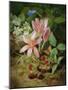 Autumn Flower with Blackberries-Josef Lauer-Mounted Giclee Print