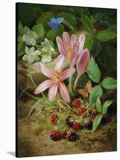 Autumn Flower with Blackberries-Josef Lauer-Stretched Canvas