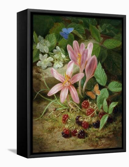 Autumn Flower with Blackberries-Josef Lauer-Framed Stretched Canvas