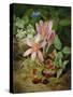 Autumn Flower with Blackberries-Josef Lauer-Stretched Canvas