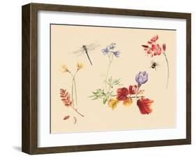 Autumn Flowers and insects-Alison Cooper-Framed Giclee Print