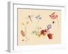 Autumn Flowers and insects-Alison Cooper-Framed Giclee Print