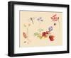 Autumn Flowers and insects-Alison Cooper-Framed Giclee Print