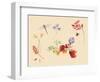 Autumn Flowers and insects-Alison Cooper-Framed Giclee Print
