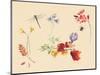 Autumn Flowers and insects-Alison Cooper-Mounted Giclee Print