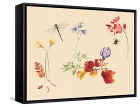 Autumn Flowers and insects-Alison Cooper-Framed Stretched Canvas