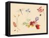 Autumn Flowers and insects-Alison Cooper-Framed Stretched Canvas