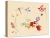 Autumn Flowers and insects-Alison Cooper-Stretched Canvas