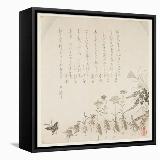 Autumn Flowers and Singing Insects, C.1854-59-Ko Sukoku II-Framed Stretched Canvas