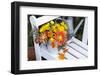 Autumn Flowers on Garden Bench-Andrea Haase-Framed Photographic Print