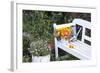 Autumn Flowers on Garden Bench-Andrea Haase-Framed Photographic Print