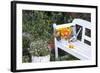 Autumn Flowers on Garden Bench-Andrea Haase-Framed Photographic Print