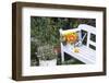 Autumn Flowers on Garden Bench-Andrea Haase-Framed Photographic Print