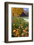 Autumn Flowers-George Oze-Framed Photographic Print