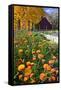 Autumn Flowers-George Oze-Framed Stretched Canvas