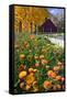 Autumn Flowers-George Oze-Framed Stretched Canvas
