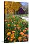 Autumn Flowers-George Oze-Stretched Canvas