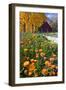 Autumn Flowers-George Oze-Framed Photographic Print