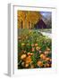 Autumn Flowers-George Oze-Framed Photographic Print