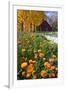 Autumn Flowers-George Oze-Framed Photographic Print