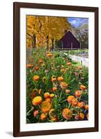 Autumn Flowers-George Oze-Framed Photographic Print