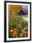 Autumn Flowers-George Oze-Framed Photographic Print