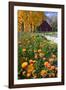 Autumn Flowers-George Oze-Framed Photographic Print